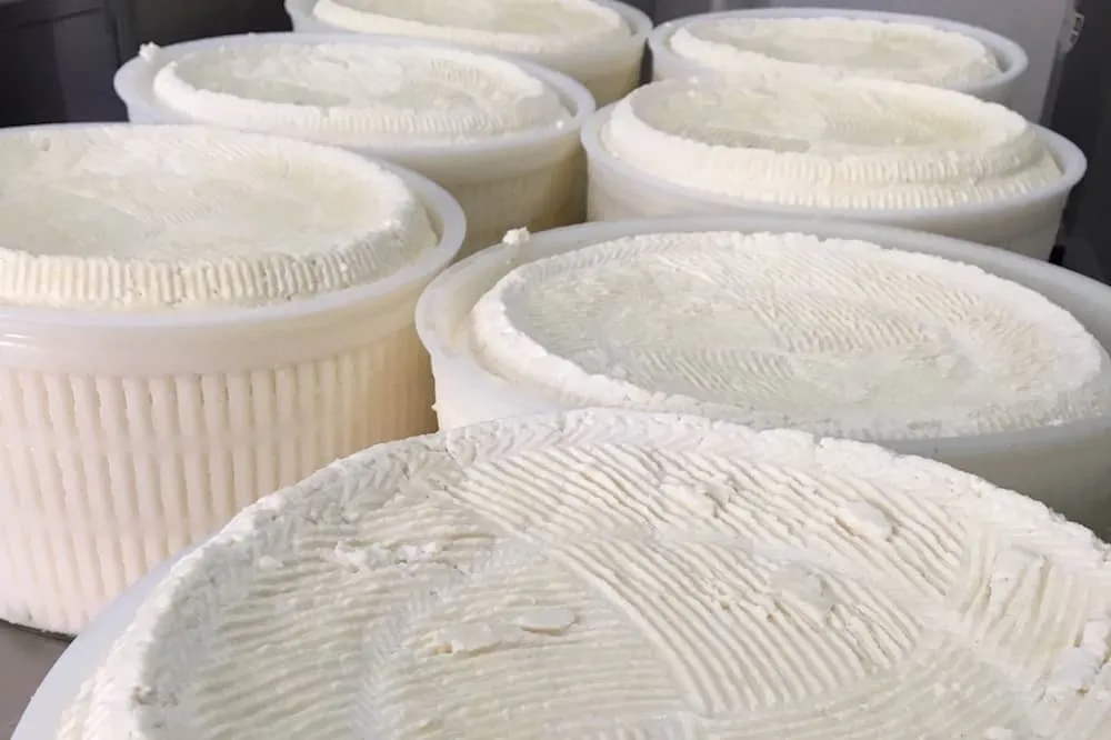 Visite d’une fromagerie et dégustation de fromages et vins siciliens en province de Palerme-image-4