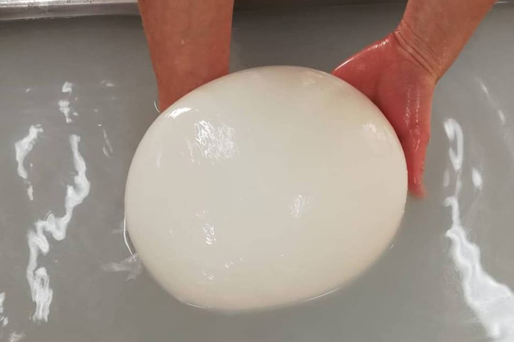 Visita di un caseificio ad Enna con degustazione di formaggi e prodotti tipici-image-5