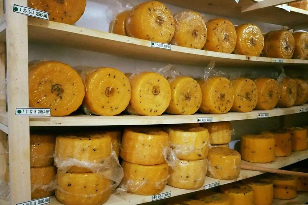 Visita di un caseificio ad Enna con degustazione di formaggi e prodotti tipici-image-9