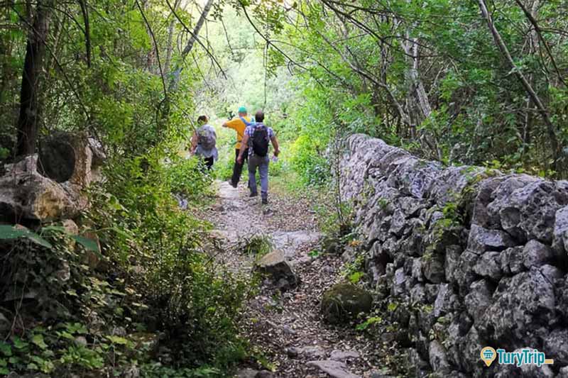 Escursione guidata alla Cava d'Ispica-image-7