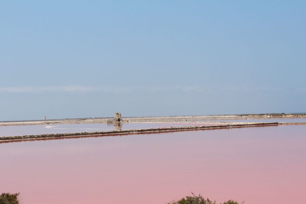 Nature, safari and trekking at the Marsala Saltpans-image-8