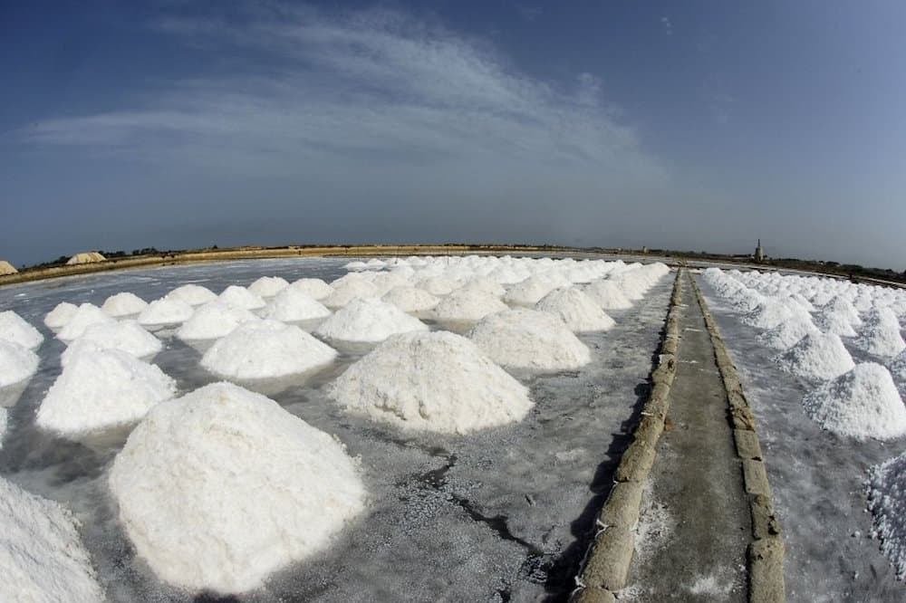 Visita guidata delle Saline di Marsala, degustazione e raccolta del sale vicino a Trapani-image-6