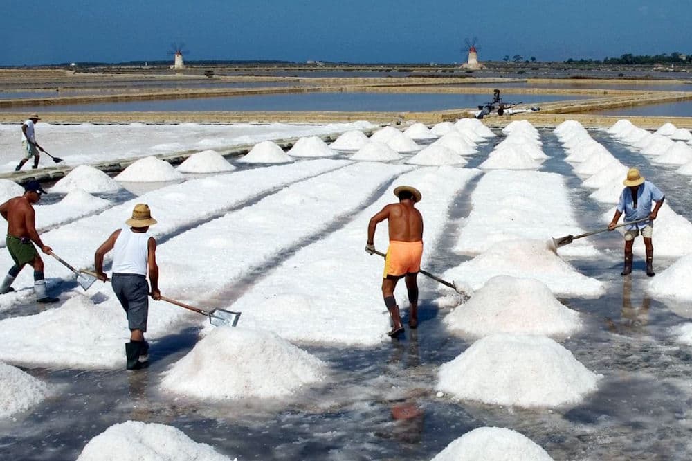 Visita guidata delle Saline di Marsala, degustazione e raccolta del sale vicino a Trapani-image-7
