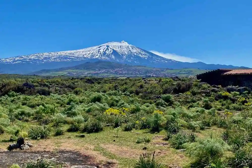 Tour by Jeep on Etna from Cefalù-image-5