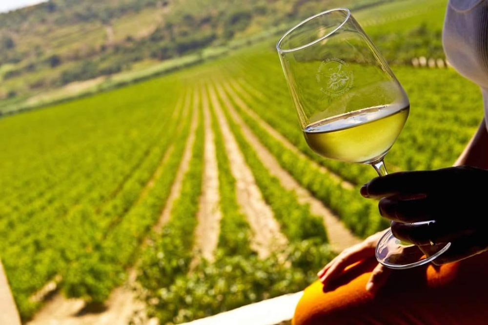 Visita in cantina in provincia di Ragusa-image-5