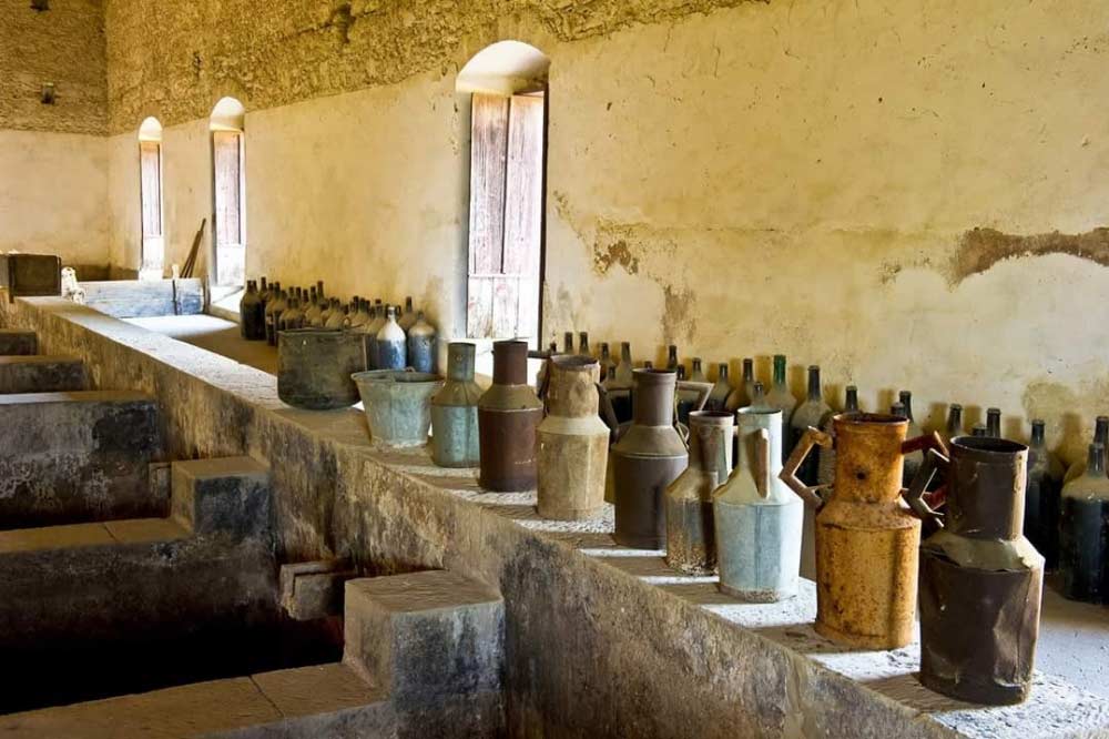 Visita in cantina in provincia di Ragusa-image-7