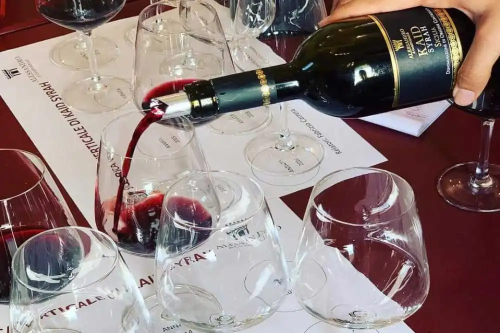Wine tasting in the cellar and guided tour of a vineyard in the hinterland of Palermo-image-5