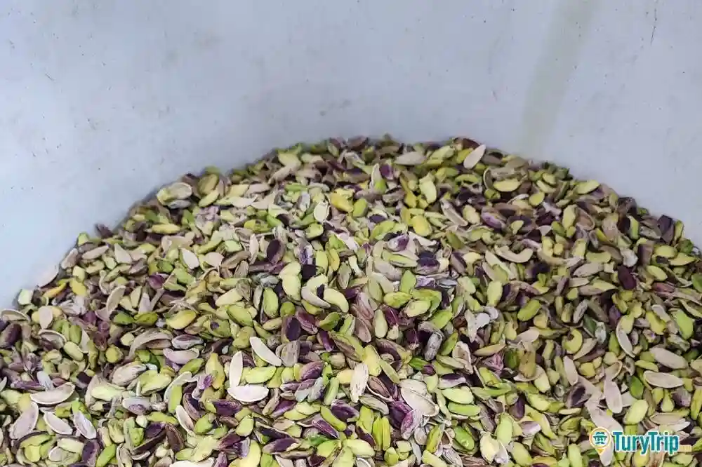 Tour alla scoperta del pistacchio di Bronte-image-7