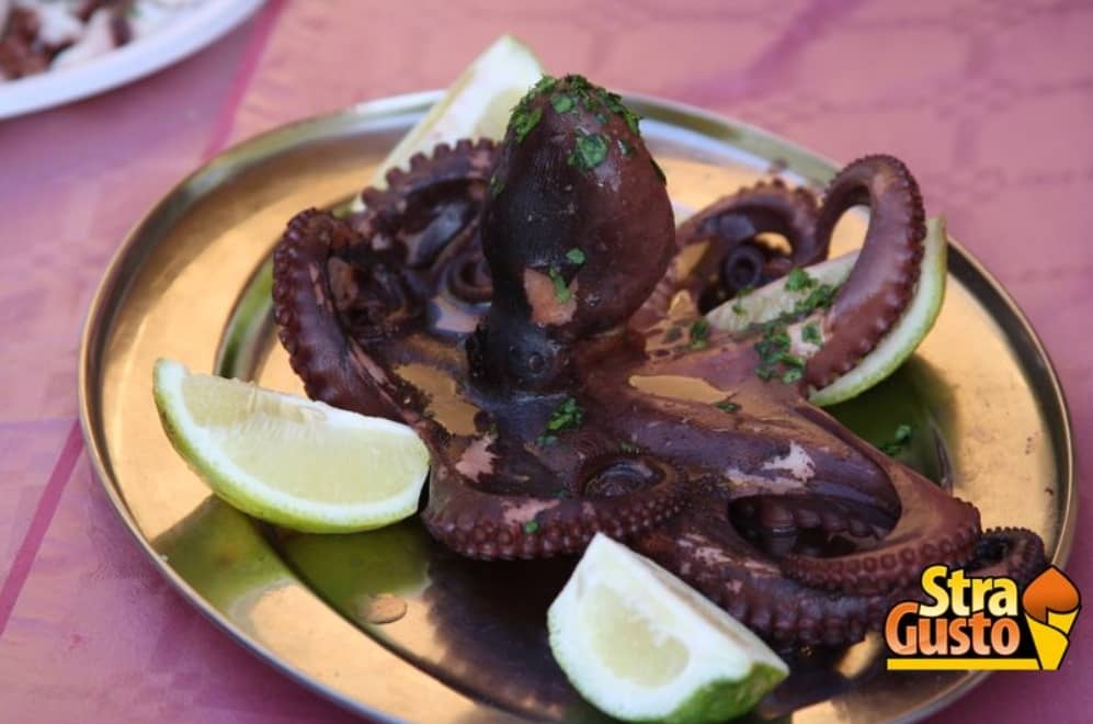 Turytrip Stragusto Trapani polpo
