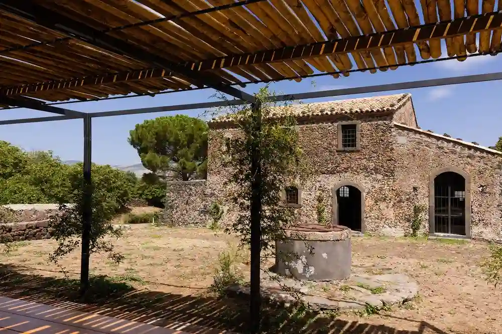 Planeta wines and oil tasting - Etna-image-5