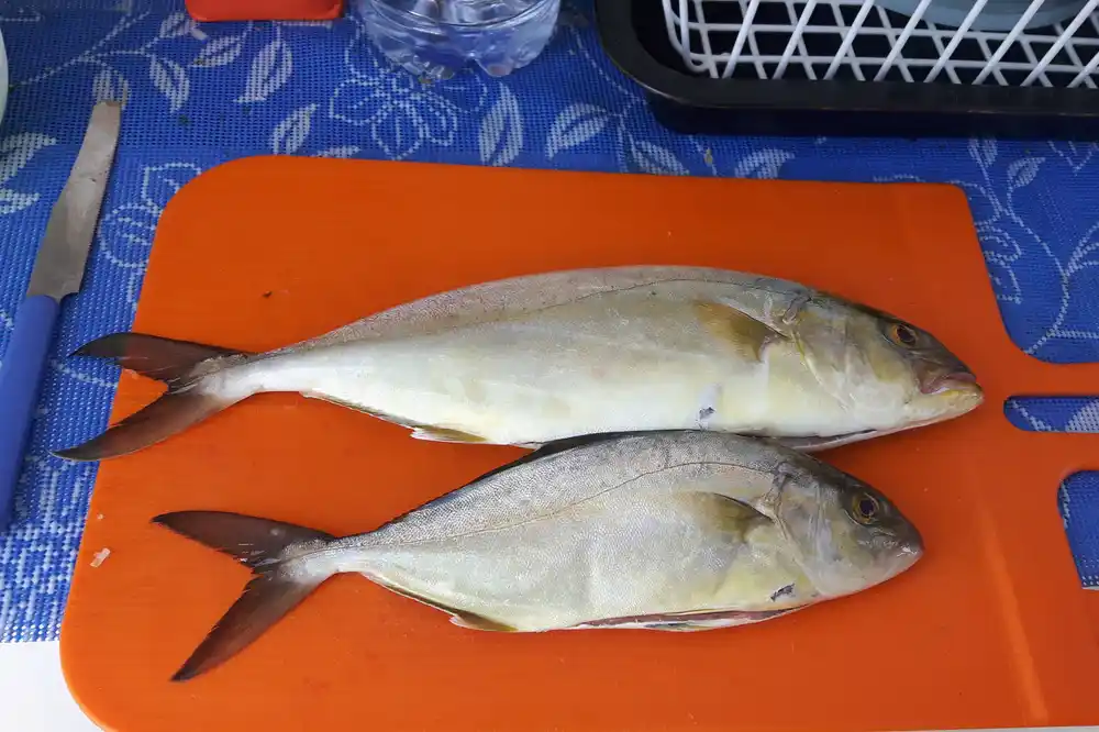 Sicile du Sud-Est : Tour en bateau et pêche de loisir à Marzamemi-image-5
