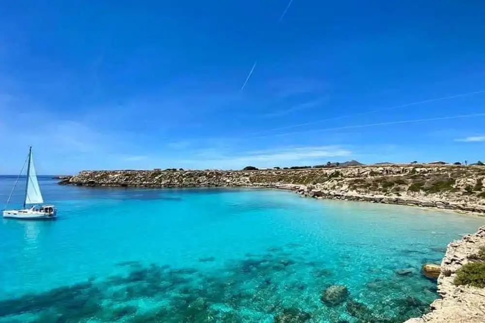 Day Excursion on sailboat at Favignana-image-5