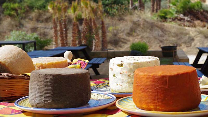 Tour enogastronomico in provincia di Trapani