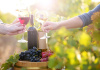 Racconti di viaggio: tour in provincia di Caltanissetta tra vino, zolfo, storia e archeologia